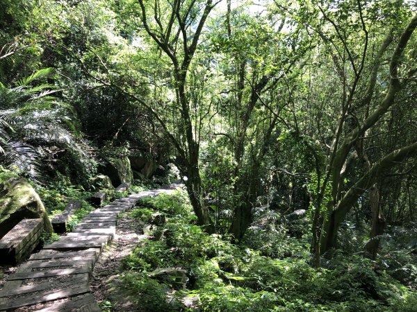 馬胎古道連南坪古道Y形2319524