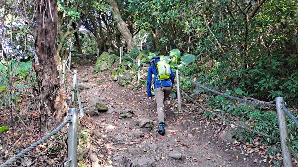 台北大縱走第一段1249085