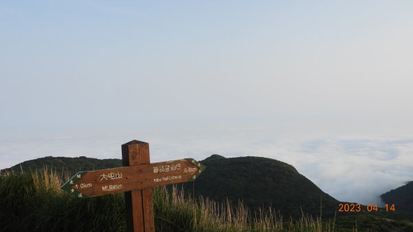 邂逅江湖傳說已久鐘萼木(據說冰河孓遺植物)，再見差強人意的月光/日出雲海2112131