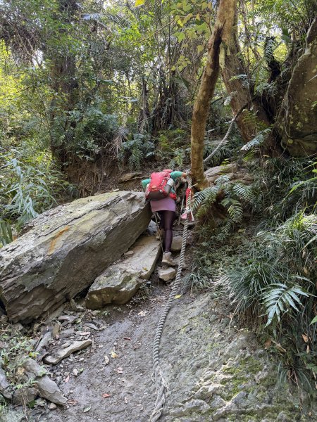 女仍山+帽子山O繞 202602273009551