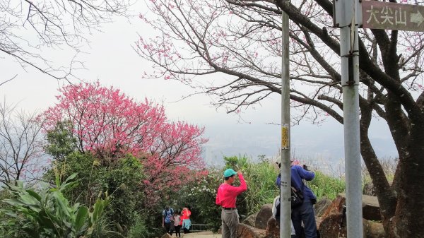 大尖山,四分尾山,勤進路1630936