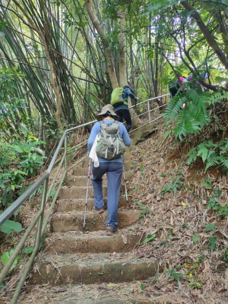 ［內湖三山連走］（白鷺鷥山，康樂山，明舉山）（2023/8/6）2242154