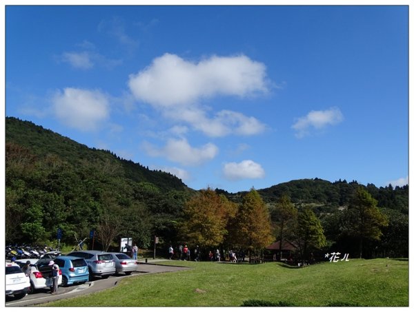 七星山連峰/芒花738687