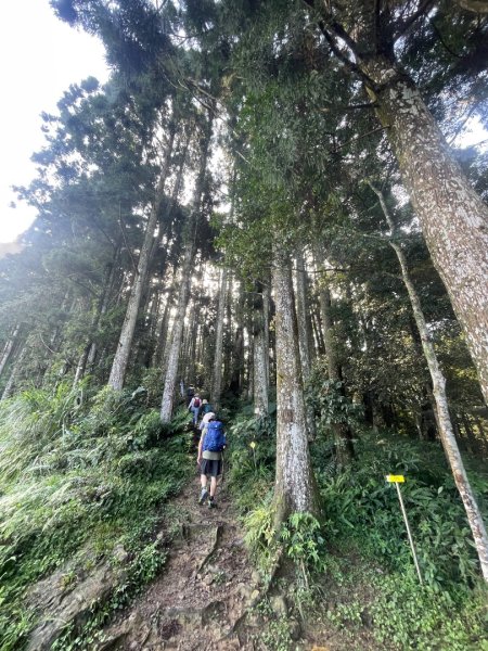 油羅山 2025 09/132890039