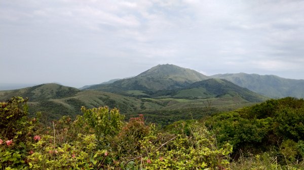 20190413 陽明山東段縱走566036