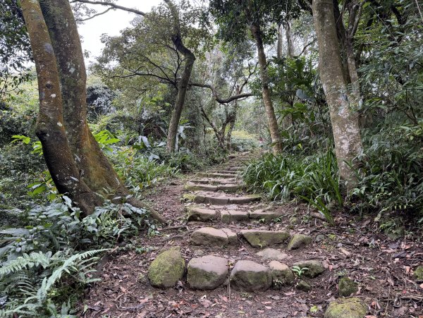 [微笑山線_第四段] 2026_0321 天上山系_三粒半3021062