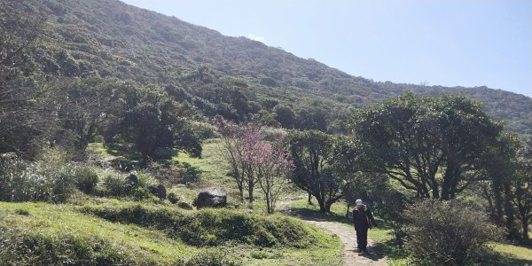 大屯自然公園，菜公坑山，巴拉卡山，逛逛趣1275552