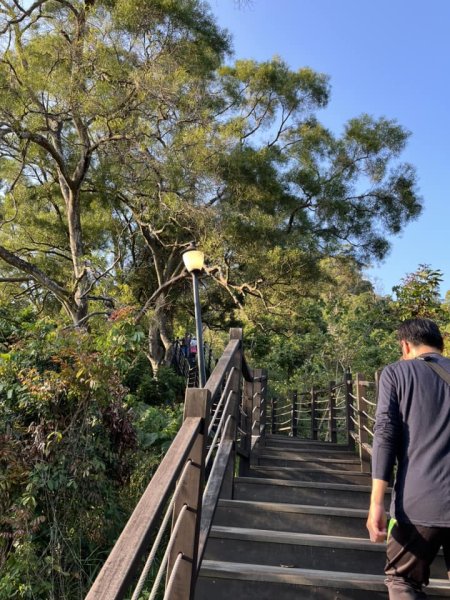 大坑9-1號步道2732233