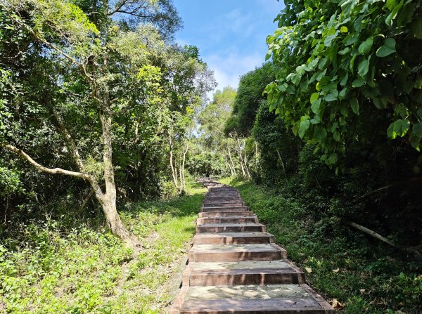 [百山百鳥尋旅-02/15] 2025_0809 社頂自然公園步道2857100