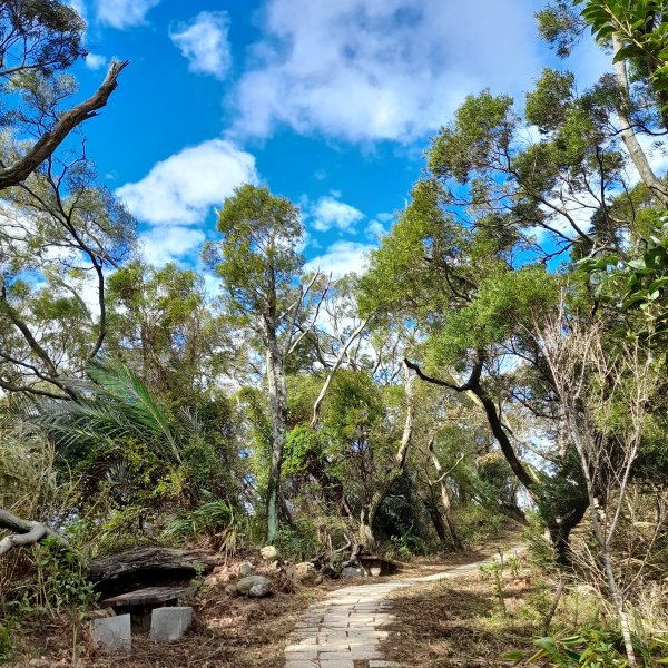 小百岳No.27⛰飛鳳山(中坑山)2405861