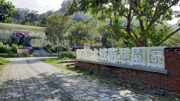 《苗栗》靜謐湖光｜明德水庫湖濱步道海棠島202411032641943