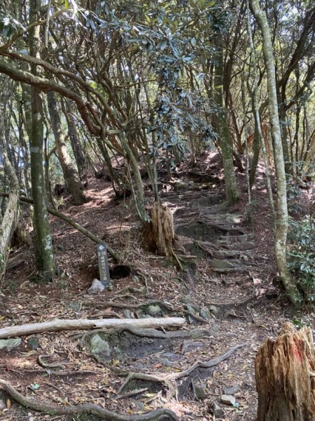 鳶嘴山捎來國家步道3060302