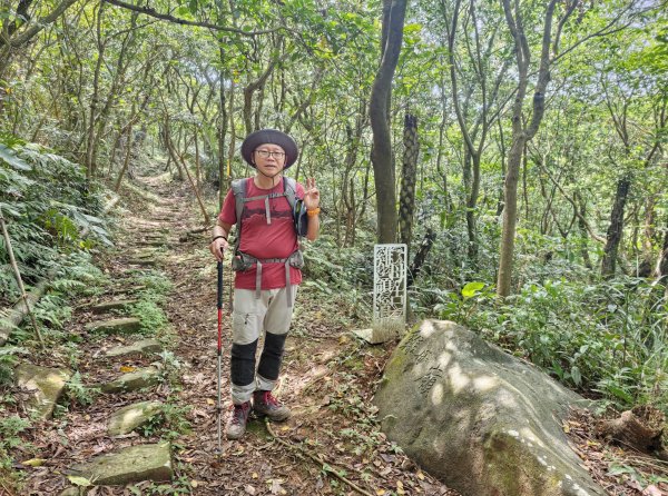 [淡蘭古道] 2026_0502 北路第二段_雞母嶺古道3047950