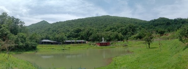 雙溪區大埤遺址東林寺+大埤古道+572峰去回2784158