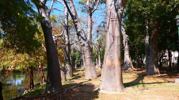 台南知事官邸等3002017