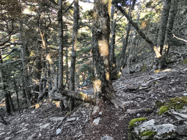 北一段(09/14)南湖東南峰 2025_0906~132887050