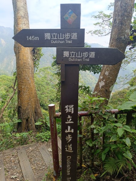 嘉義獨立山2983732