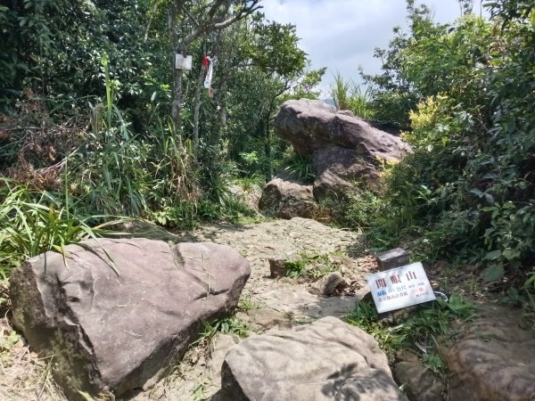 內湖區大丘田保甲路+開眼山+白石湖山+白石湖山東峰+大邱田山+消防山O型2858914