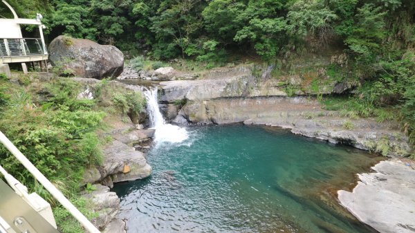 小烏來天空步道2029842