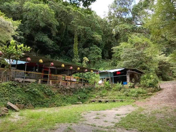 雙溪區大埤古道左線+柑腳山+570峰+大埤格+大埤古道右線O型2828789