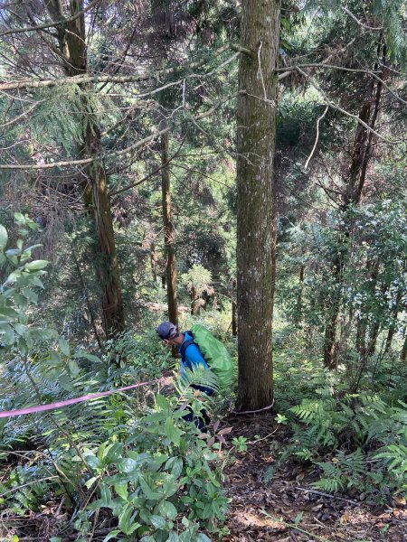 竹林越野障礙挑戰~麥樹仁山縱走六畜山1651098