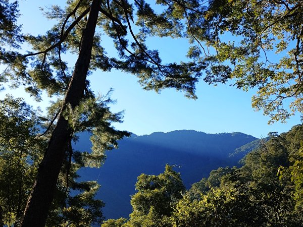 佳保台山-八仙山2910258