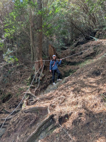 觀霧國家森林遊樂區和包場的榛山三角點2724181
