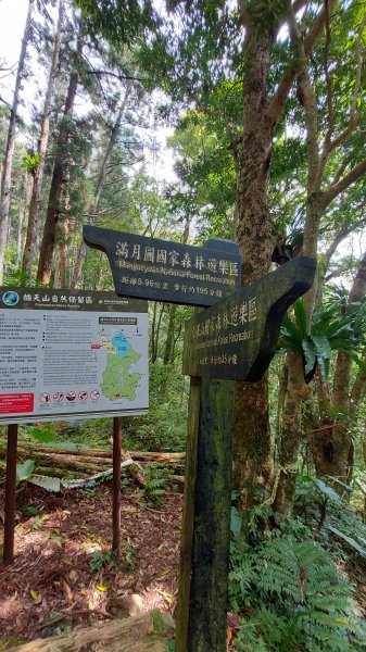 111/03/12東滿步道(東眼山進、滿月圓出)1643944