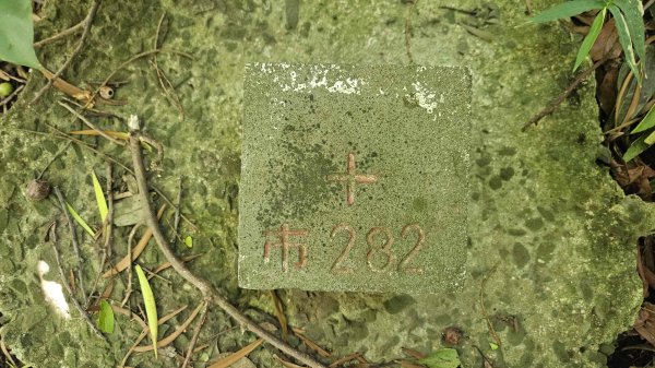 20250924法雨寺步道-鳳梨宅-第八公墓-詹氏宗祠-泉源國小宿舍-東昇路菜園-緣園農場2894224