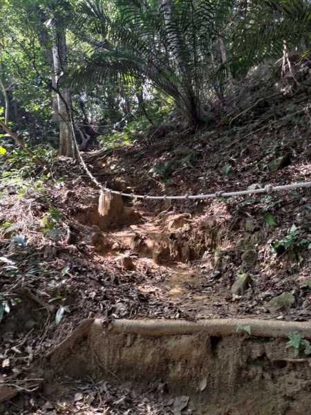 【新竹縣關西鎮】赤柯山步道2833172
