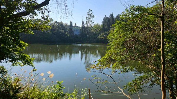 20260110楊梅福人步道-老坑山-保甲古道-東森山林步道-小楊梅步道-秀才步道茶園段2982025
