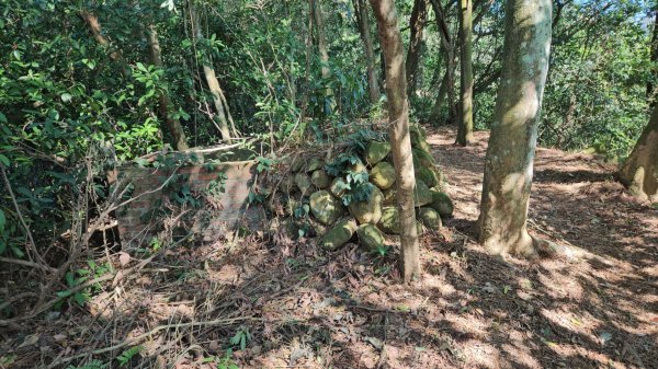 20260119飛沙縱走東段加碼9連峰大O走2988920