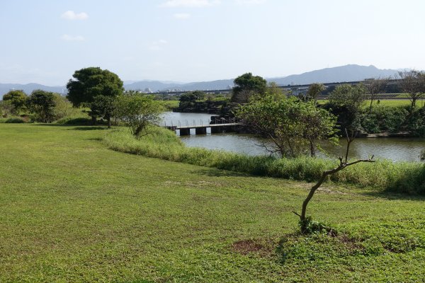 美堤公園花海．中427公園賞櫻1257992