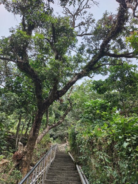 2023.12.23 高雄大崗山2834926