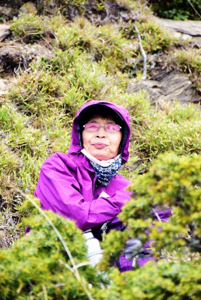 JRJ 合歡群峰之合歡北峰382755