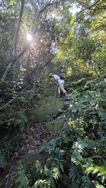 新北近郊小而美的賞景好路線野柳駱駝峰玉田古道O型2897894