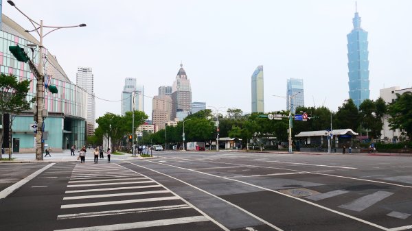 加羅林魚木,松菸文創園區3038163
