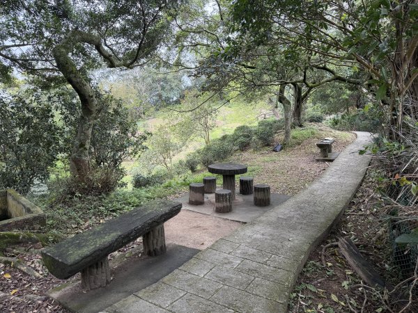 [微笑山線_第四段] 2026_0321 天上山系_石門內尖山東峰3021304