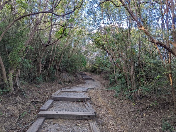 無敵海景的車城龜山步道1535713