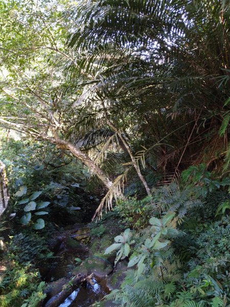 【臺北大縱走第六段】中華科大至麟光站完成1254974