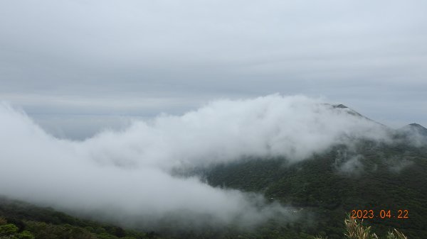 再見陽明山雲瀑，大屯山雲霧飄渺日出乍現，小觀音山西峰賞雲瀑。2123374