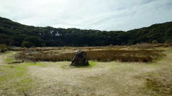 20260125 陽明山前後山健行(無極天元宮~山仔頂步道.向天池.向天山.面天山.二子坪)2997985