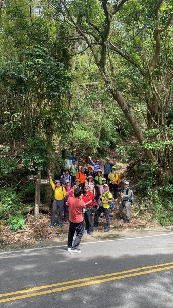 如墨暈染的春日邂逅｜中山樓墨染櫻 × 北投步道探花記2853884
