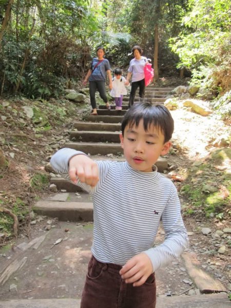 1010325八仙山森林遊樂區3098066