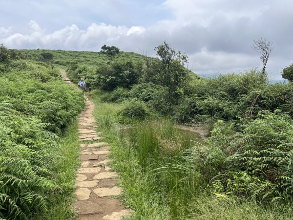 [走遍陽明山]2023_0723 石梯嶺2319969