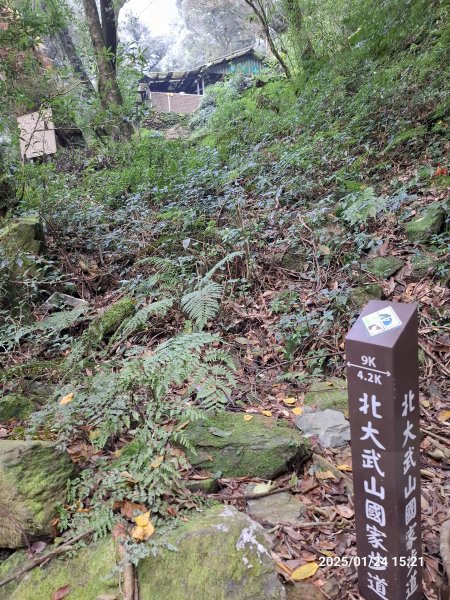 2025.01.24~26 北大武山 三天兩夜〈雲海、夕陽、檜木、鐵杉、藍天...〉2700337