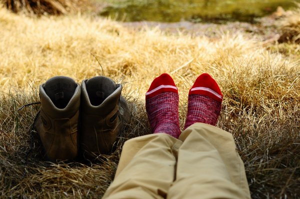 武法奈尾山天巒池872532