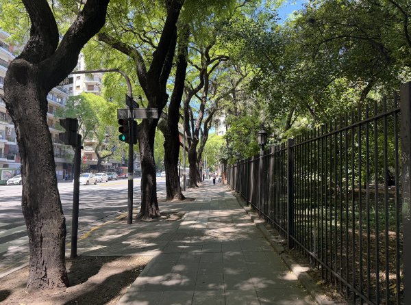 [紐約馬之行-59] 2025_1114 卡洛斯·泰斯植物園-上2953895