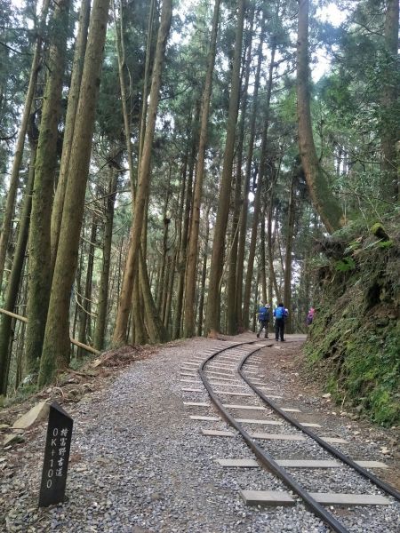 2018.03.17 郡大山麟趾山特富野290720