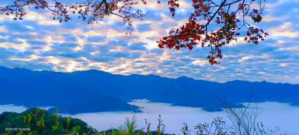 二訪馬拉邦山，解鎖 #琉璃光雲海 #日出雲海  #血月 #斜射光 #楓葉紅了！2668649